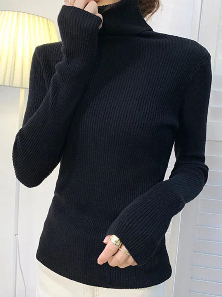 Knitwear Turtleneck - Different colors